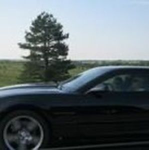 Meet your Posher, Dennis